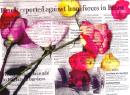 Click to view "warflowers2act2.jpg" at full size