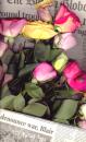 Click to view "warflowers7.jpg" at full size