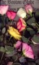 Click to view "Warflowers.jpg" at full size