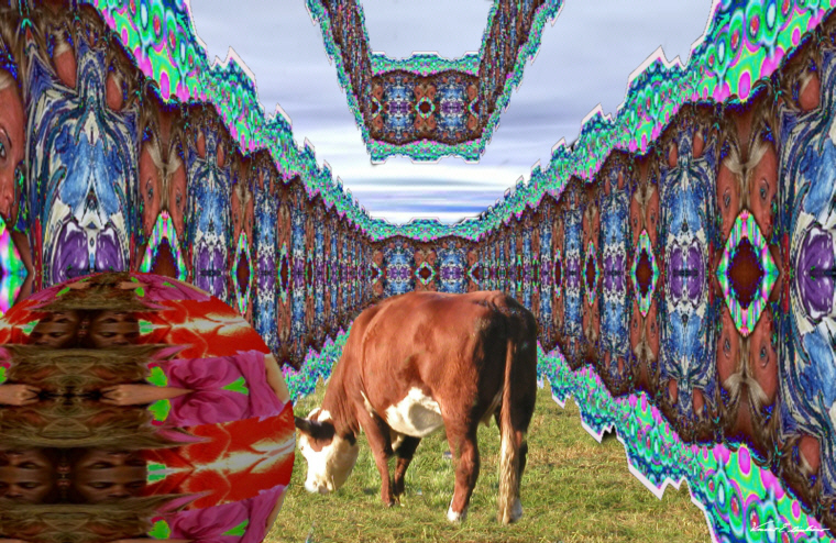 Cow in its HallLR.jpg - 328086 Bytes