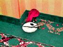 Click to view "ByThe Hotel Room.jpg" at full size