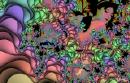 Click to view "Fleurs.jpg" at full size